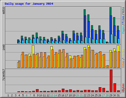 Daily usage for January 2024