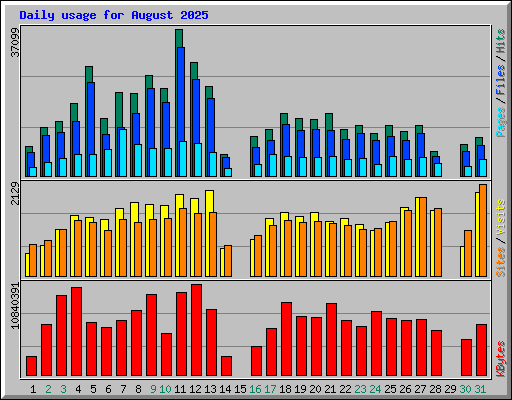 Daily usage for August 2025
