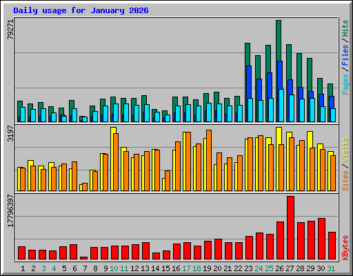 Daily usage for January 2026