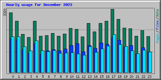 Hourly usage for December 2023