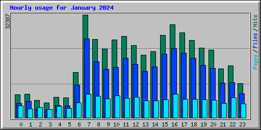Hourly usage for January 2024