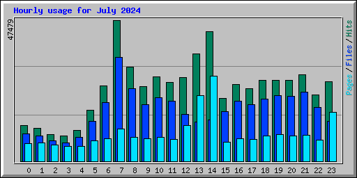 Hourly usage for July 2024