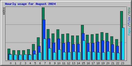 Hourly usage for August 2024