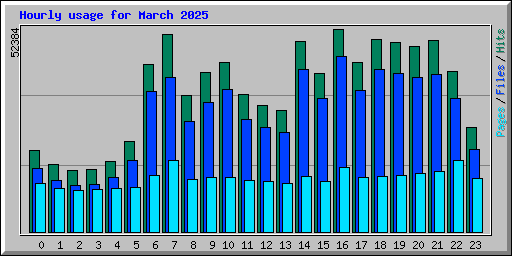 Hourly usage for March 2025