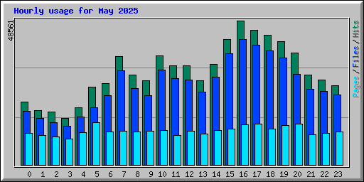 Hourly usage for May 2025
