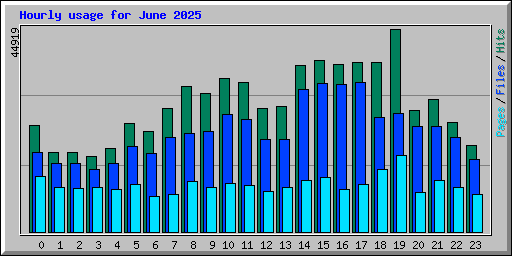 Hourly usage for June 2025