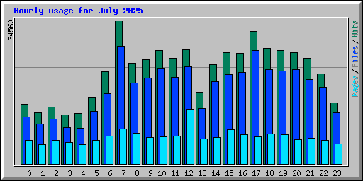 Hourly usage for July 2025