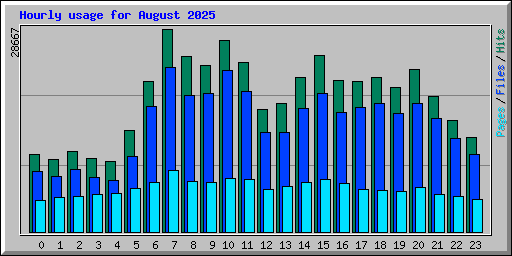 Hourly usage for August 2025