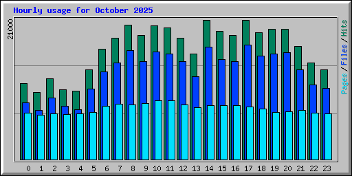 Hourly usage for October 2025