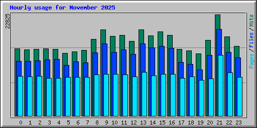 Hourly usage for November 2025