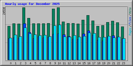 Hourly usage for December 2025