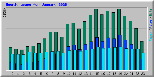 Hourly usage for January 2026